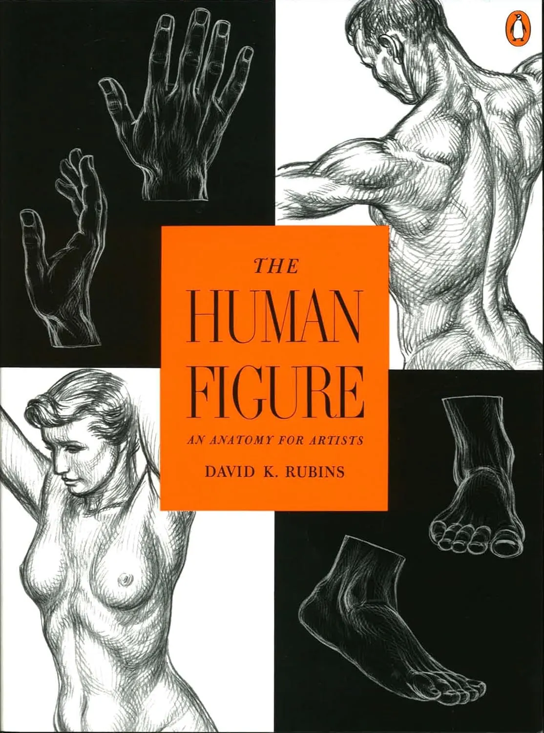 the human figure an anatomy for artists 1 1