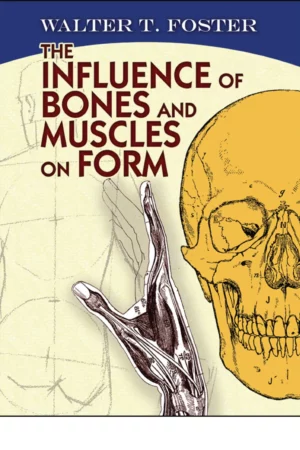 the influence of bones and muscles on form