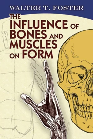 the influence of bones and muscles on form dover anatomy for artists