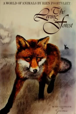 the living forest a world of animals 