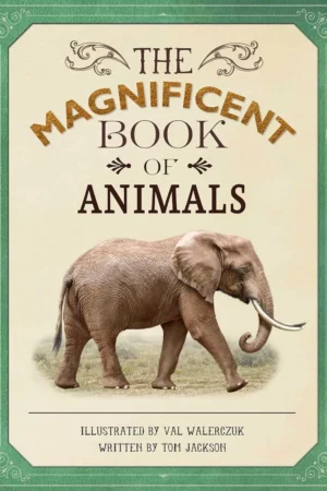 the magnificent book of animals 1
