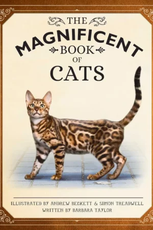 the magnificent book of cats kids books about cats middle grade cat books books about animals