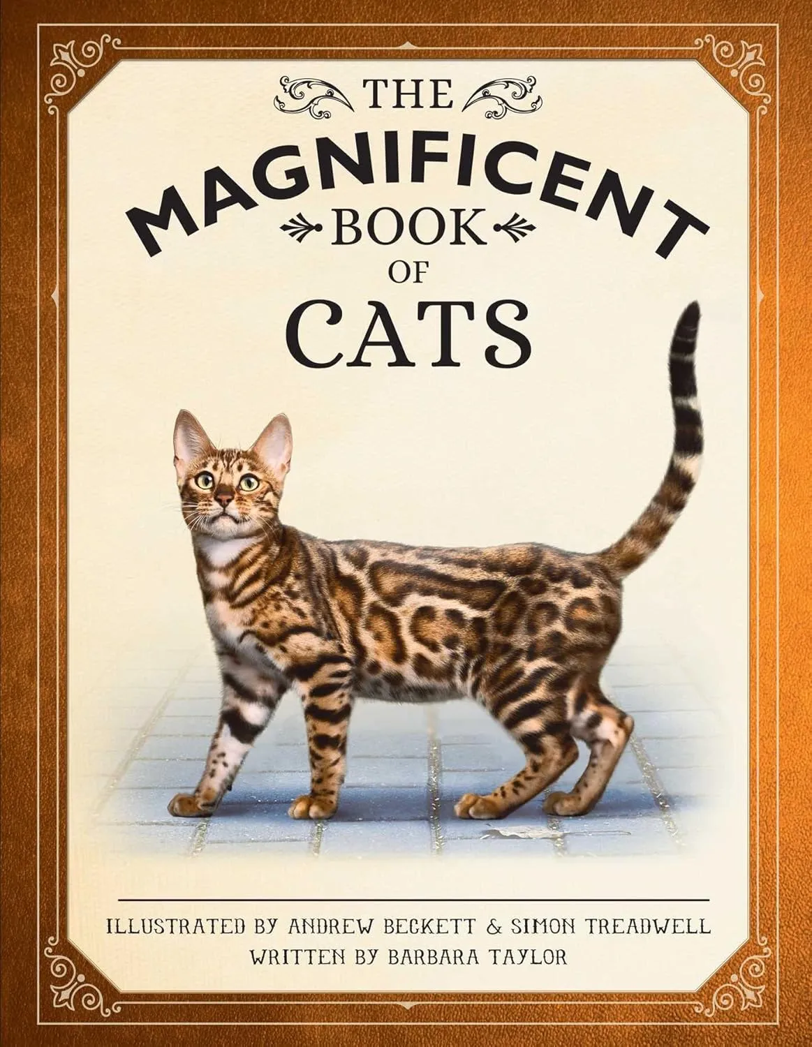 the magnificent book of cats kids books about cats middle grade cat books books about animals