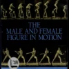 the male and female figure in motion