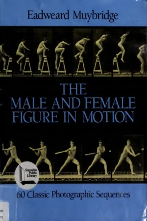 the male and female figure in motion