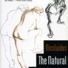the natural way to draw a working plan for art study 1
