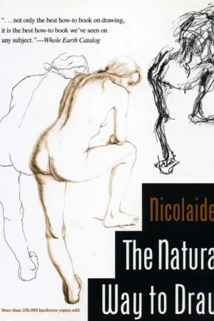the natural way to draw a working plan for art study 1