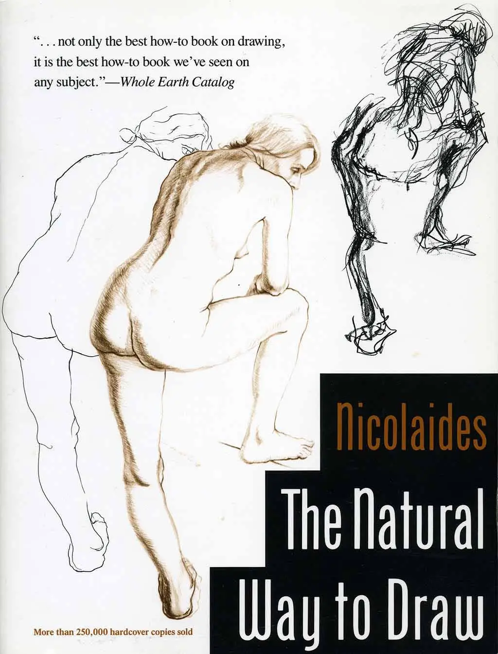 the natural way to draw a working plan for art study 1