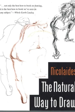the natural way to draw a working plan for art study 1 1