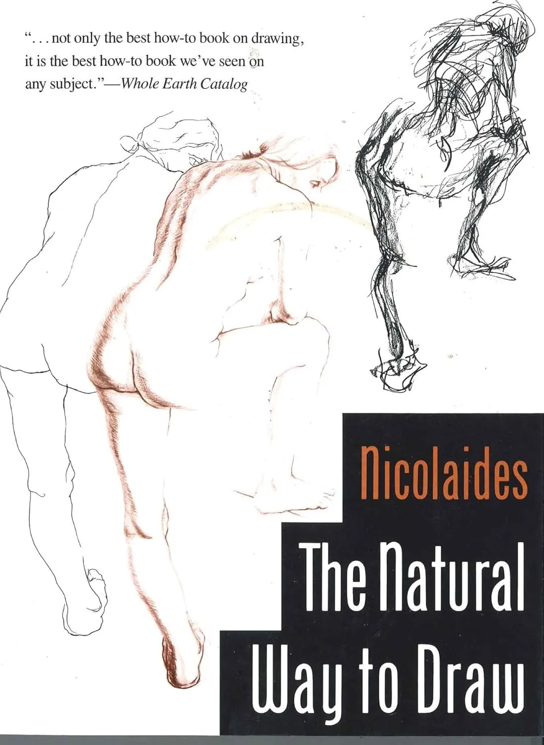 the natural way to draw a working plan for art study 1 1