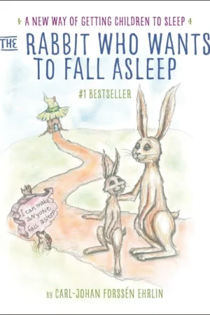 the rabbit who wants to fall asleep