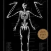 the resurrectionist the lost work of dr spencer black