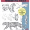 the weatherly guide to drawing cats