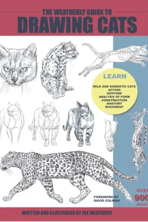 the weatherly guide to drawing cats 