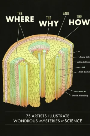 the where the why and the how
