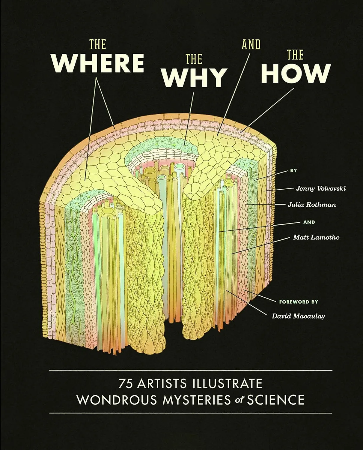 the where the why and the how 75 artists illustrate wondrous mysteries of science