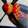 ultimate aircraft