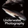 underwater photography