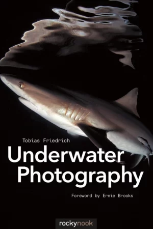 underwater photography