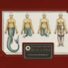 vivisectionary a convocation of biological art
