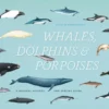 whales dolphins and porpoises a natural history and species guide