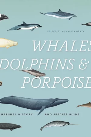 whales dolphins and porpoises a natural history and species guide 1