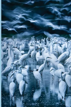 wonders spectacular moments in nature photography nature books books for adventurous people books about the outdoors