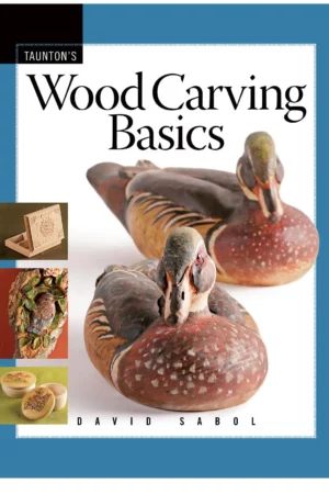 wood carving basics fine woodworking dvd workshop