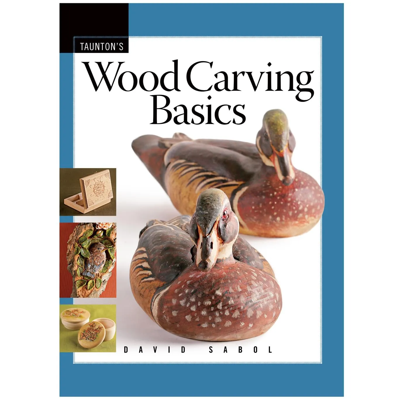 wood carving basics fine woodworking dvd workshop