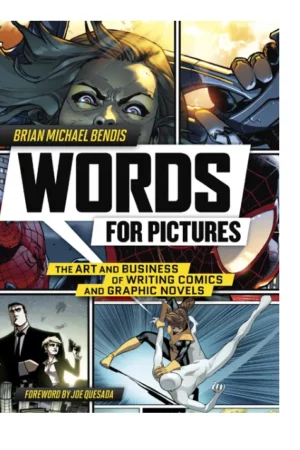 words for pictures the art and business o