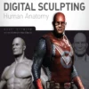 zbrush digital sculpting human anatomy by spencer