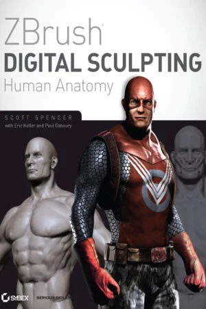 zbrush digital sculpting human anatomy by spencer