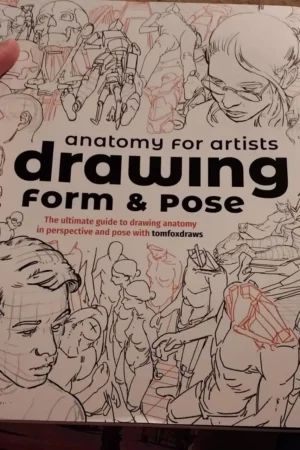 anatomy for artists drawing form pose 1