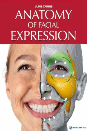 anatomy of facial expression