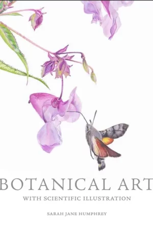 botanical art with scientific illustration