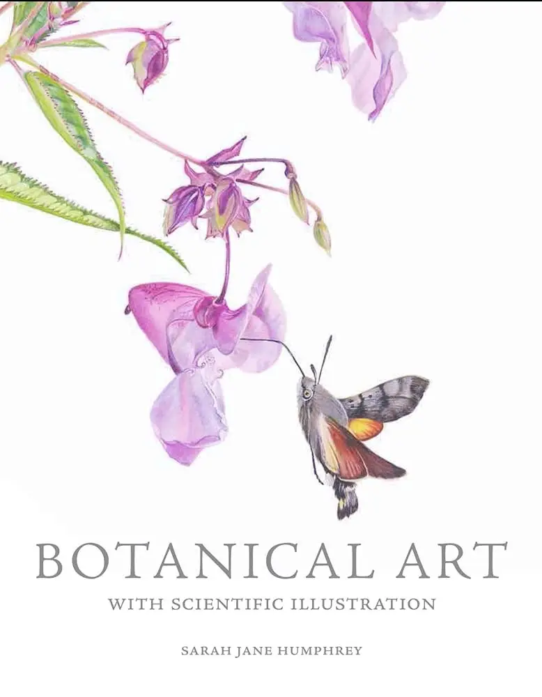 botanical art with scientific illustration