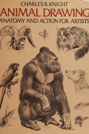 charles r knight animal drawing anatomy and action for artists 1959