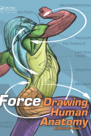 force drawing human anatomy michael d mattesi 2017