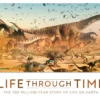 life through time the 700 million year story of life on earth