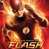 the art and making of the flash
