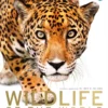 wildlife of the world