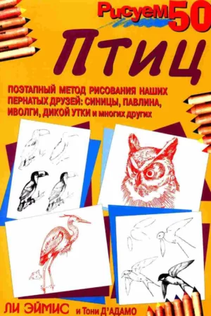 amis lj dadamo t drawing 50 birds