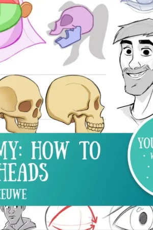anatomy heads