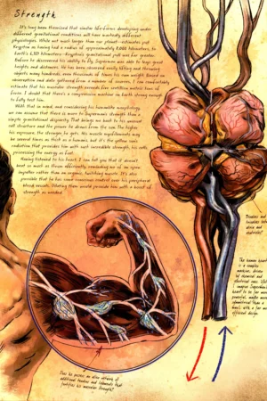 anatomy of a metahuman 01 superman part 2