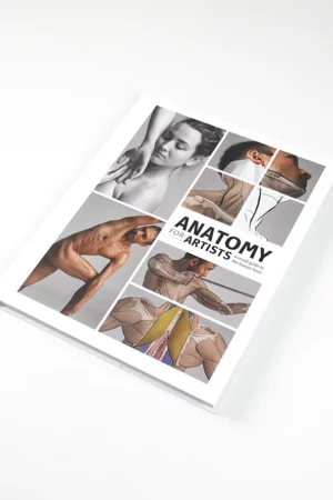 anatomy for artists2