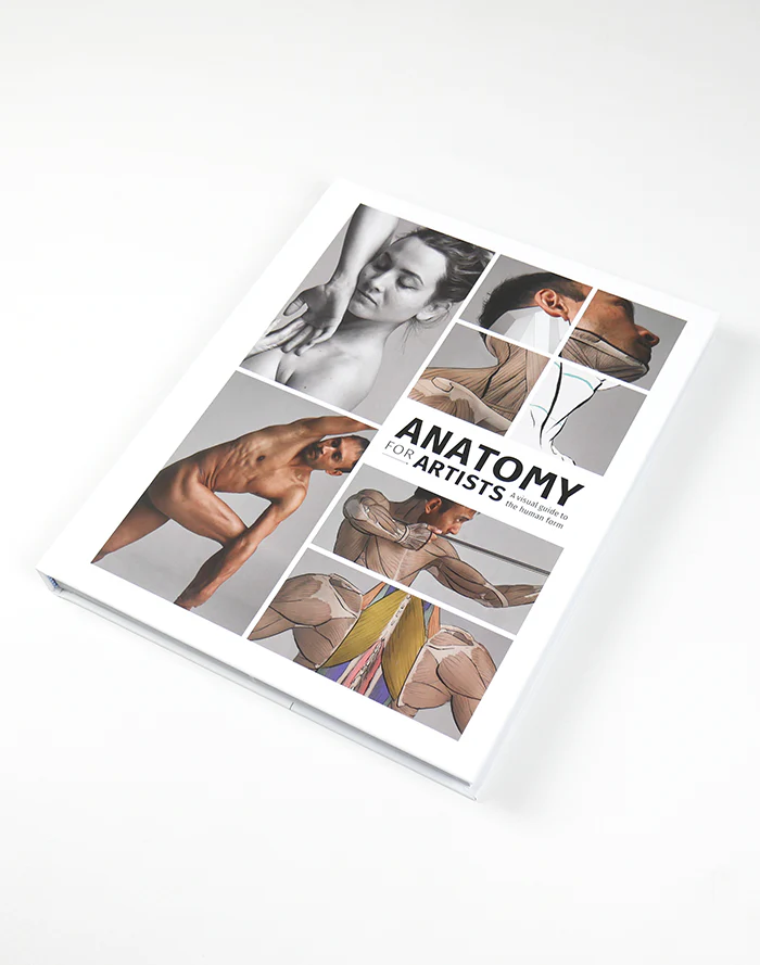 anatomy for artists2