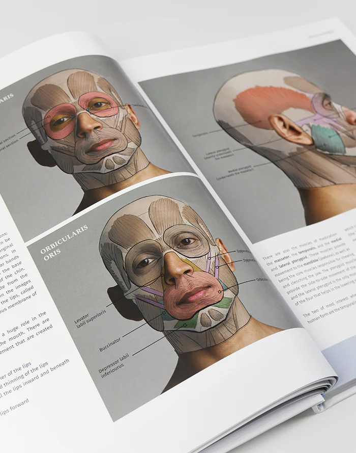 anatomy for artists3