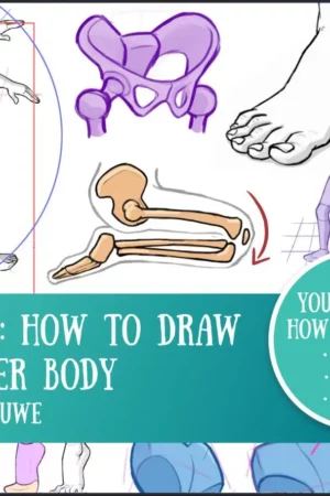 anatomy lowerbody