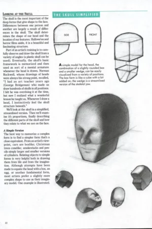 artists complete guide to facial expressions 4