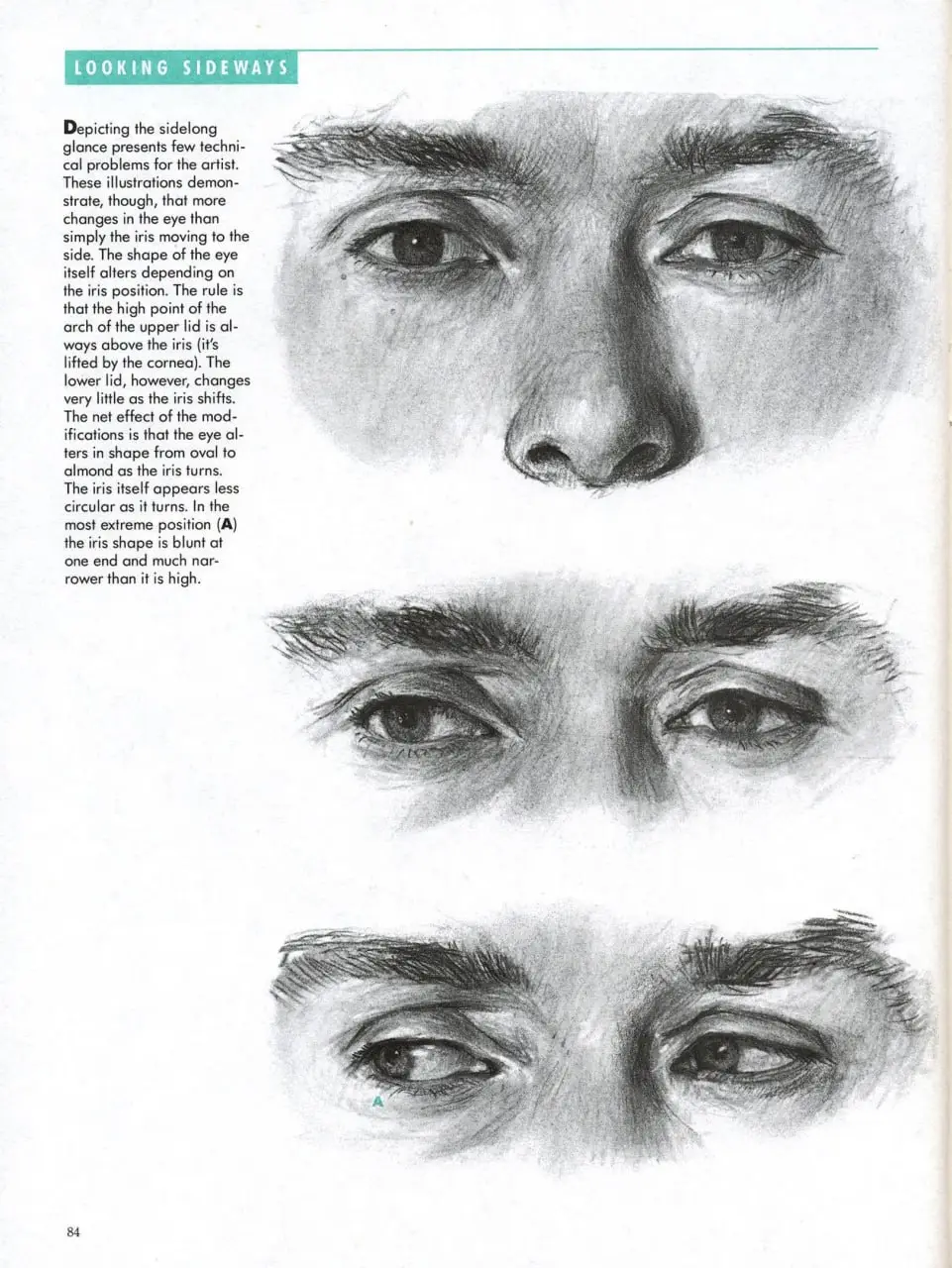 artists complete guide to facial expressions 5